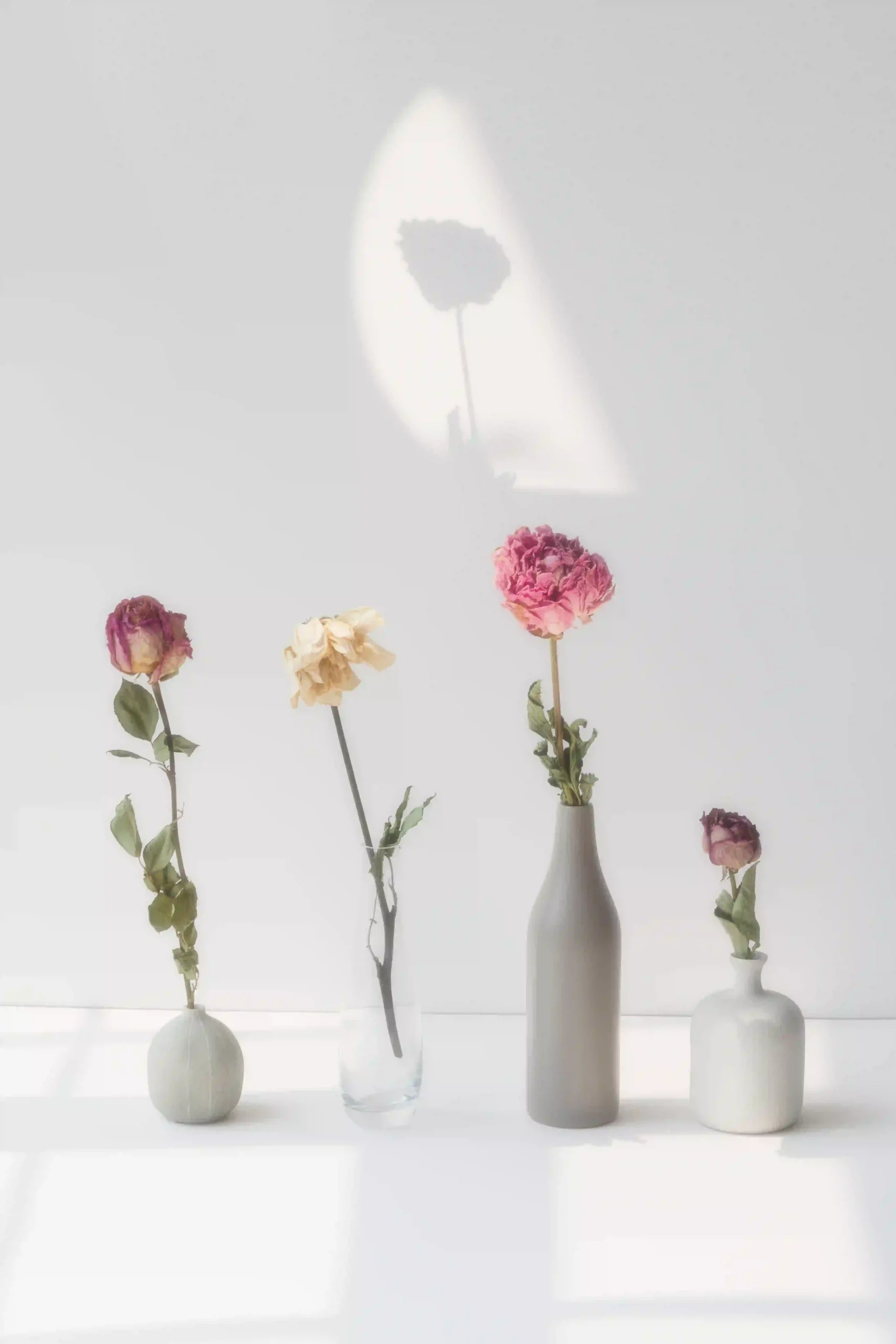 dried flowers minimal vases scaled